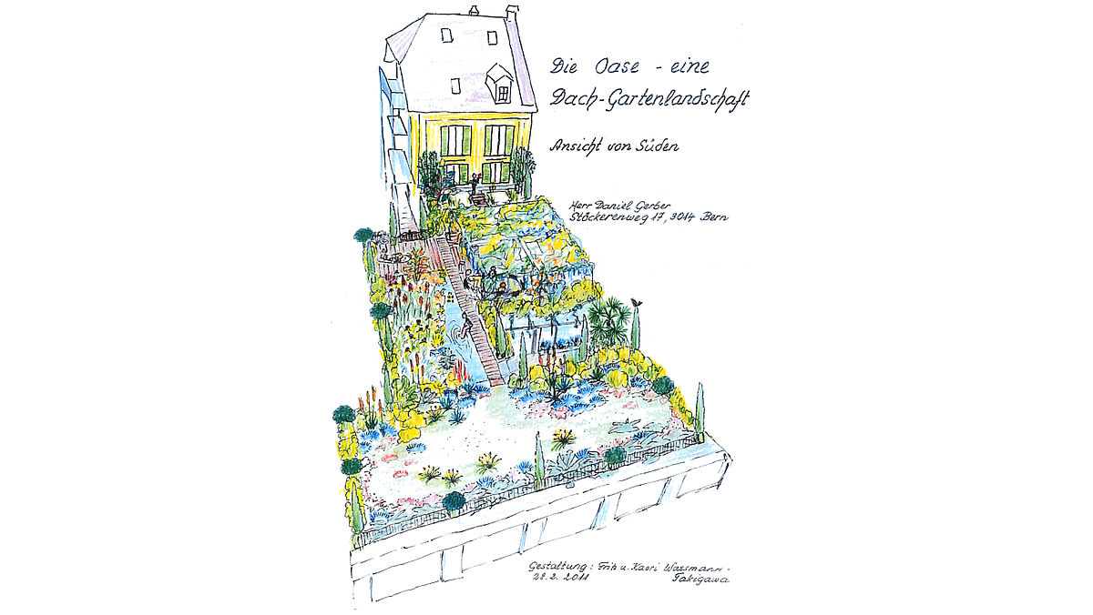 La vision dessinée par le constructeur de jardins de toit.