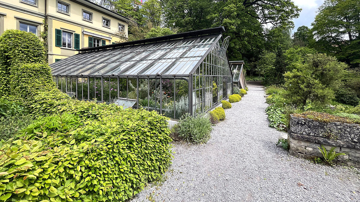 Mittelmeerhaus: aufgenommen vor der Sanierung. Geprägt von der filigranen, denkmalgeschützten Tragstruktur.