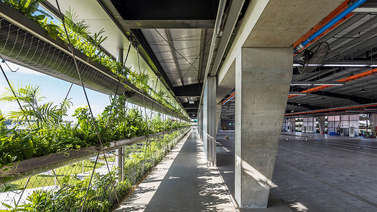 Jakob Saigon (Vietnam). Les parois vertes ombragent les espaces intérieurs, filtrent les polluants de l’air et réduisent la température du bâtiment par évaporation. 