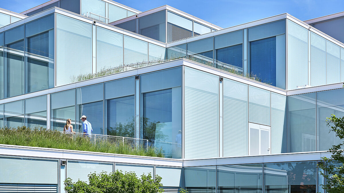 Die sich in unterschiedlichem Masse erhebenden Gebäudevolumen aus Glas formen Terrassen, die als Aufenthaltsorte dienen sollen.