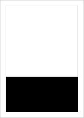 1/ 3-page large